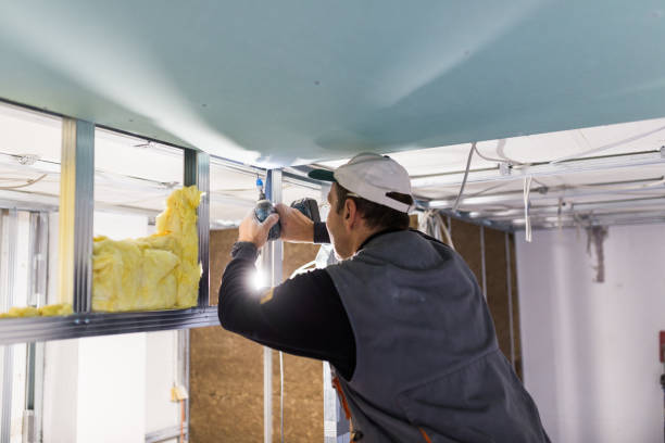 Best Best Insulation Companies  in New Haven, WV